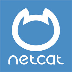 поддержка сайтов на cms netcat
